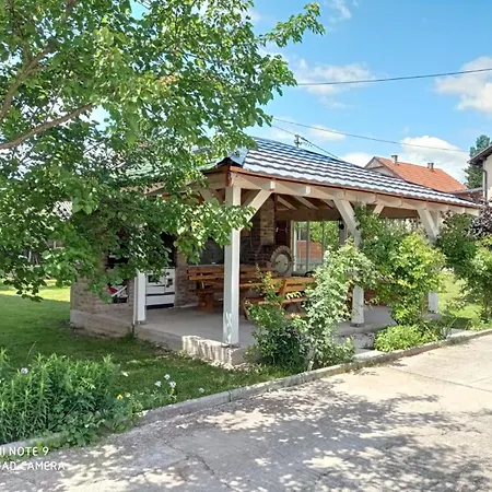 Hana Vikendica